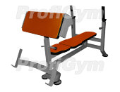 Скамья Скотта + Cкамья для французского жима ProfiGym СК-0290-H