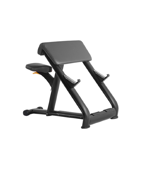 Скамья Скотта Bronze Gym H-040A (черный)